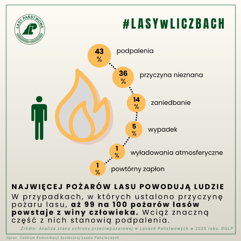 Grafika przedstawiająca przyczyny pożarów