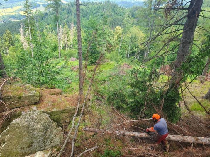 Fot. Karolina Moneta