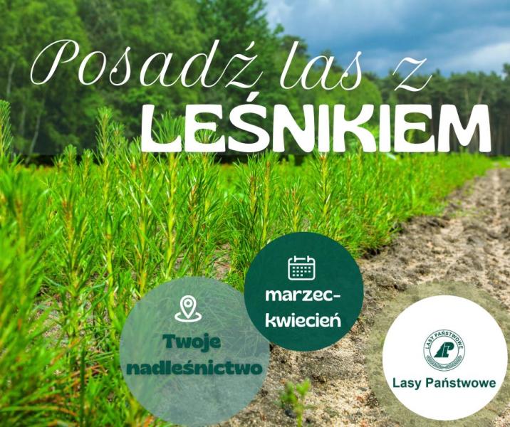 Grafika promująca akcję "Posadź las z leśnikiem"